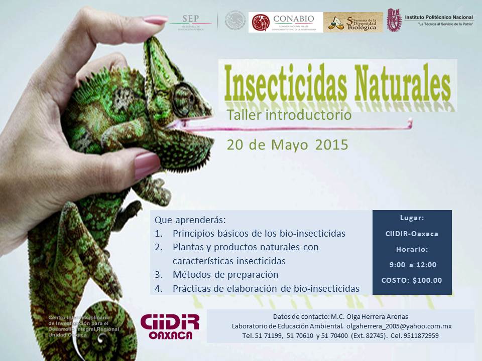 cartel 2 insecticidas naturales OLGA.jpg
